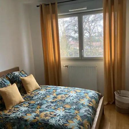 Standing 3 Chambres, Parkings, Terrasse Meyzieu Εξωτερικό φωτογραφία